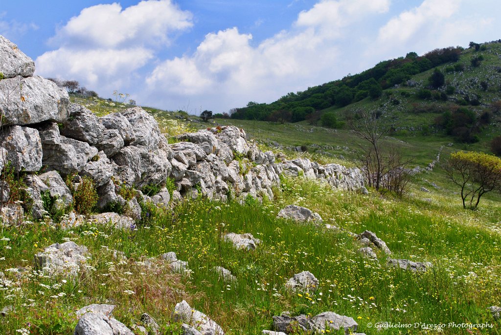 Mura megalitiche sul Montauro, foto di G. D'Arezo
