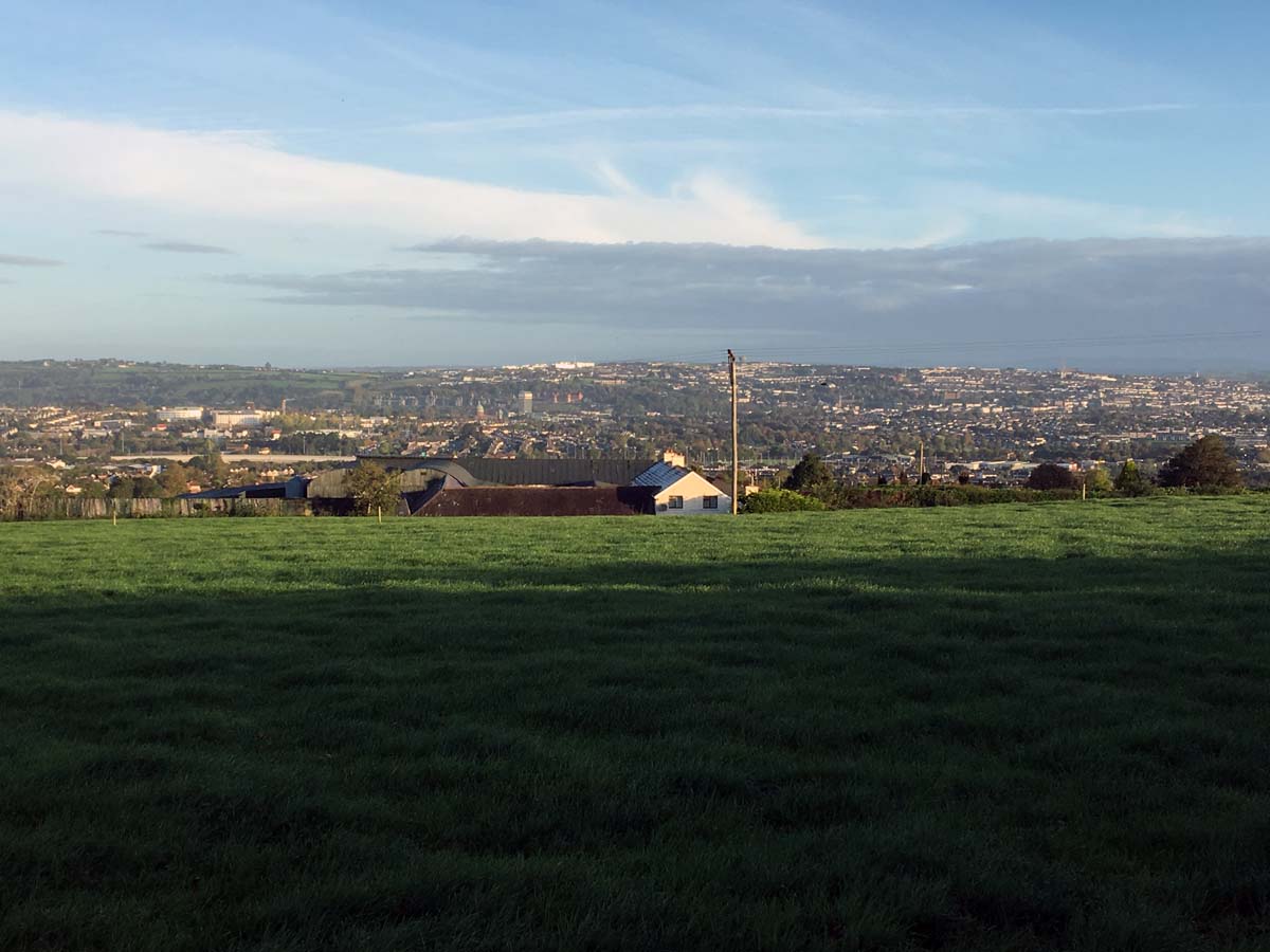 Matthew Hill, Panorama
