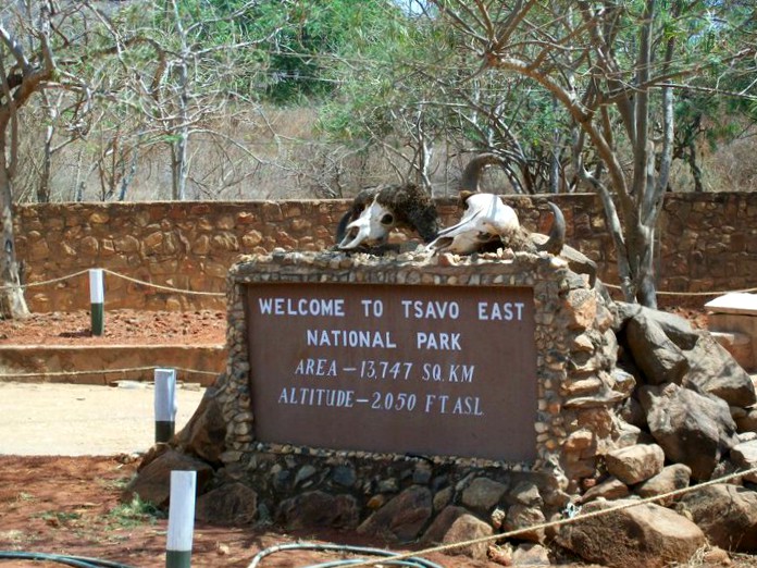 Safari Tsavo Est in Kenya