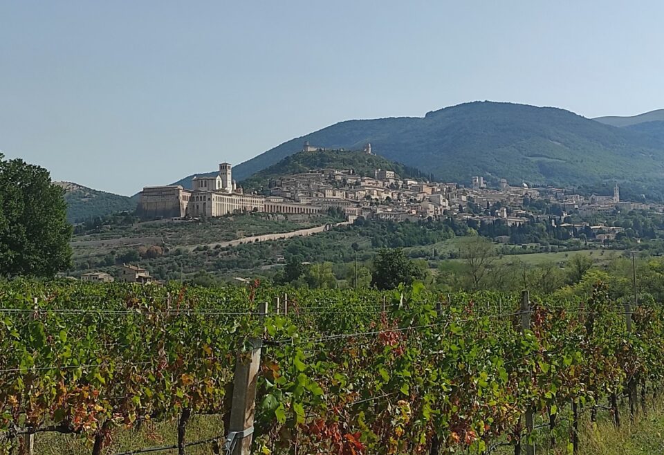 La vista dalla Veranda della Società Agricola Saio di Assisi
