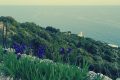 La pietraia: il sentiero panoramico del Promontorio del Circeo