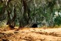 Grotta delle Capre al Circeo: come visitarla?