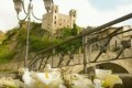 Carugi in fiore - Infiorata del centro storico e concorso floreale sul tema “LA CANZONE ITALIANA DAGLI ANNI 60 AGLI ANNI 70”.