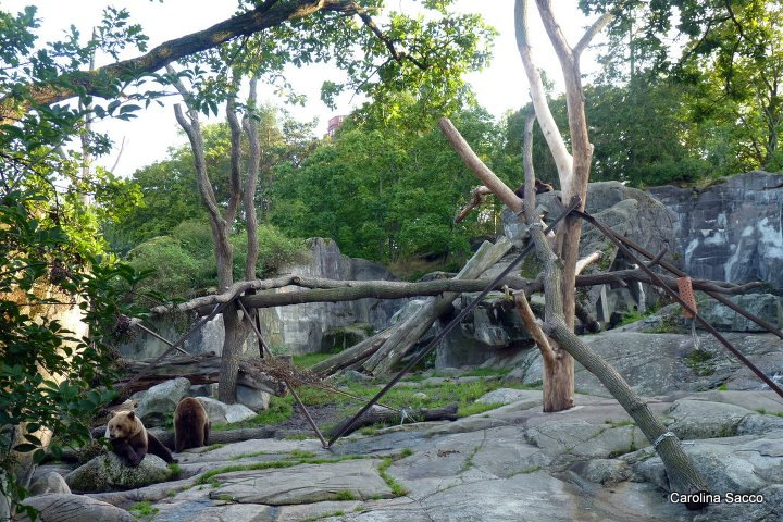 Zoo Skansen