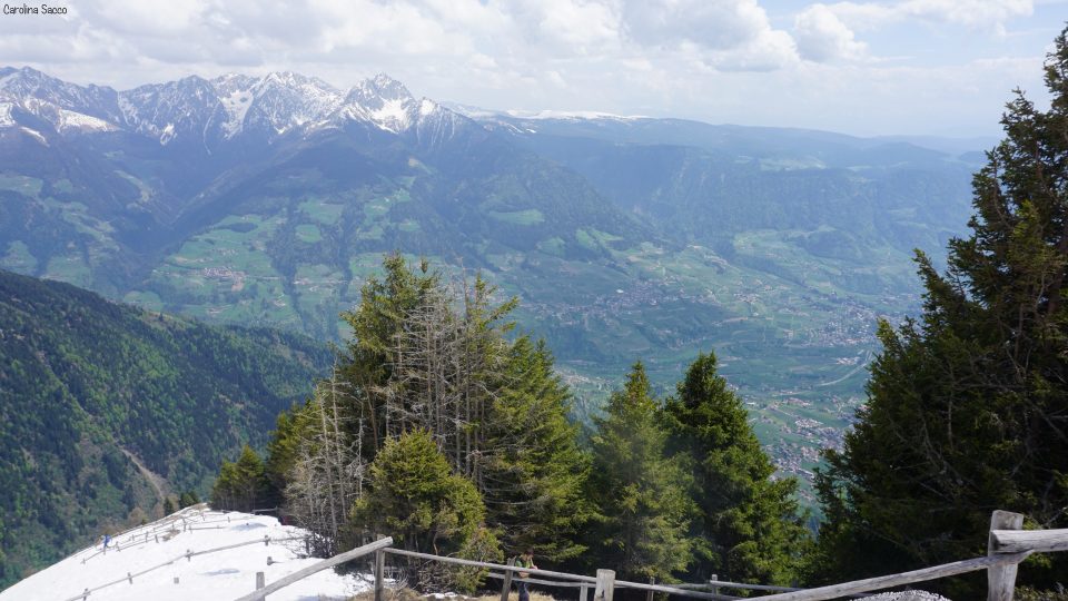 Trentino Alto Adige - Cima Muta