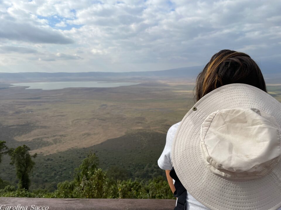 Valle del Ngorongoro