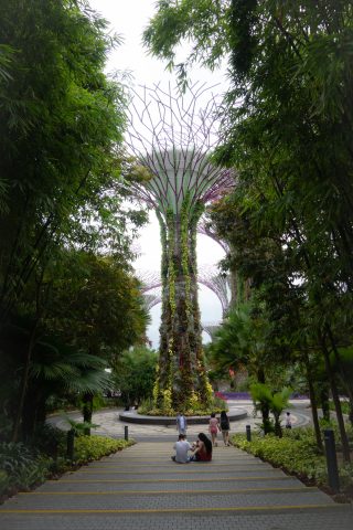 garden by the bay