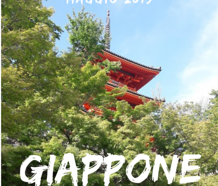 Viaggio in Giappone: cucina, giardini e manga